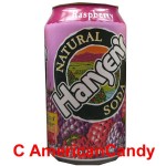 Hansen's Natural Soda Raspberry incl. Pfand